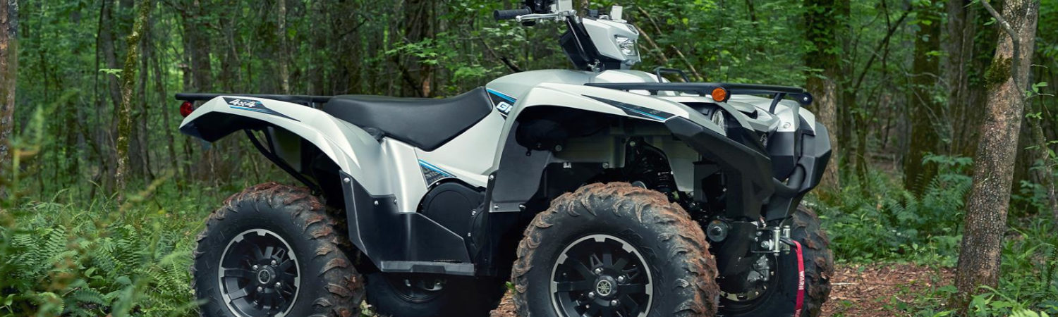2020 Yamaha Grizzly 700 for Sale RideNow Chandler / Euro, Chandler, Arizona