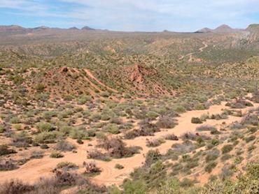 Tonto National Forest